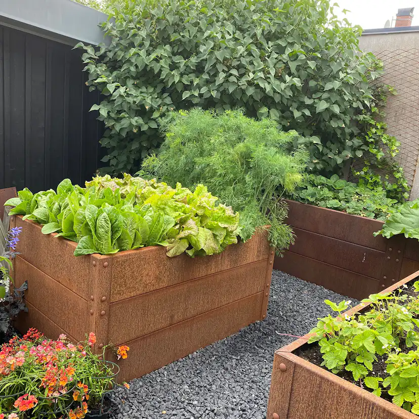 Odlingslåda Flexigarden Cortenplåt 2 mm 800x1200x600 mm