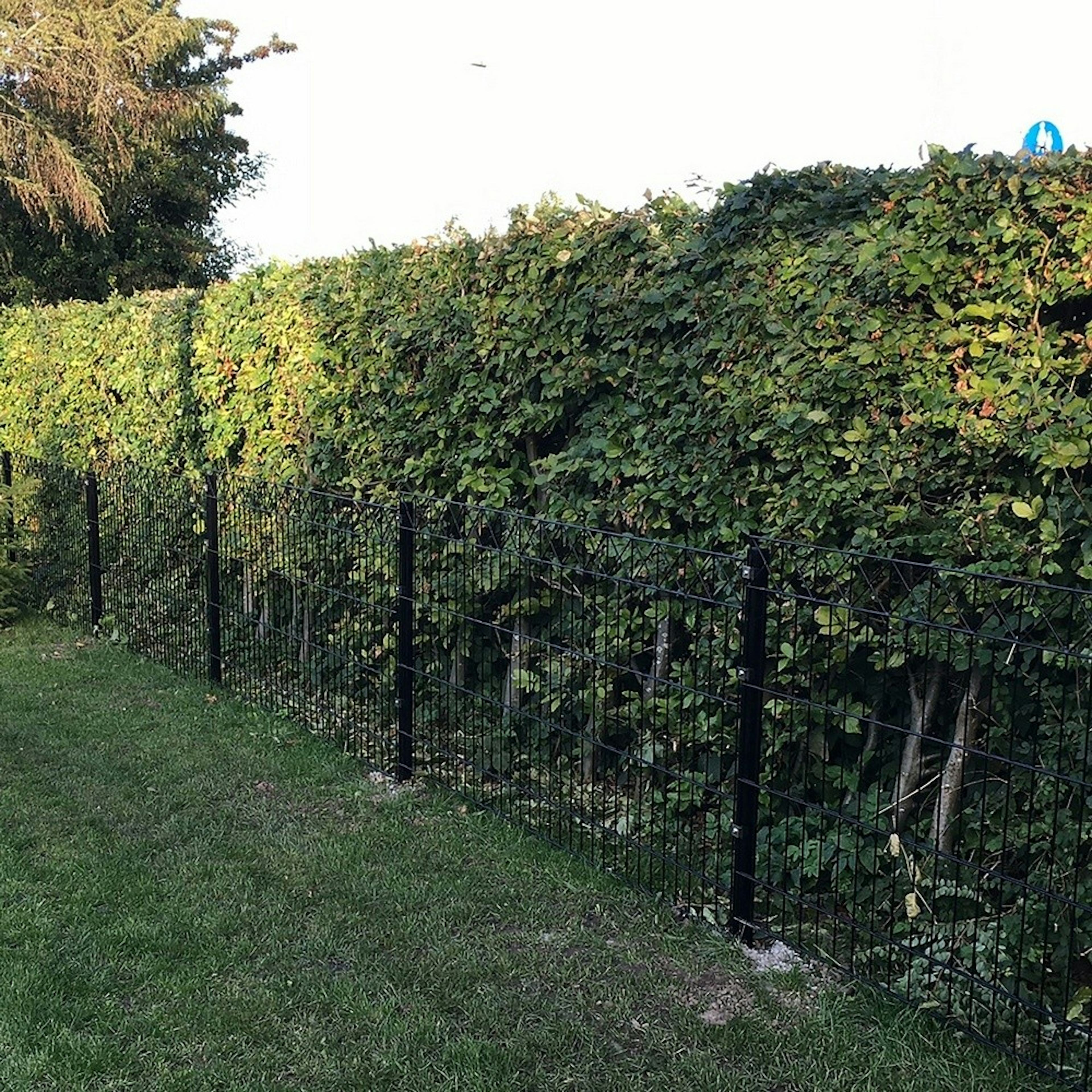 Panelstängsel Hortus med Deko X Svart