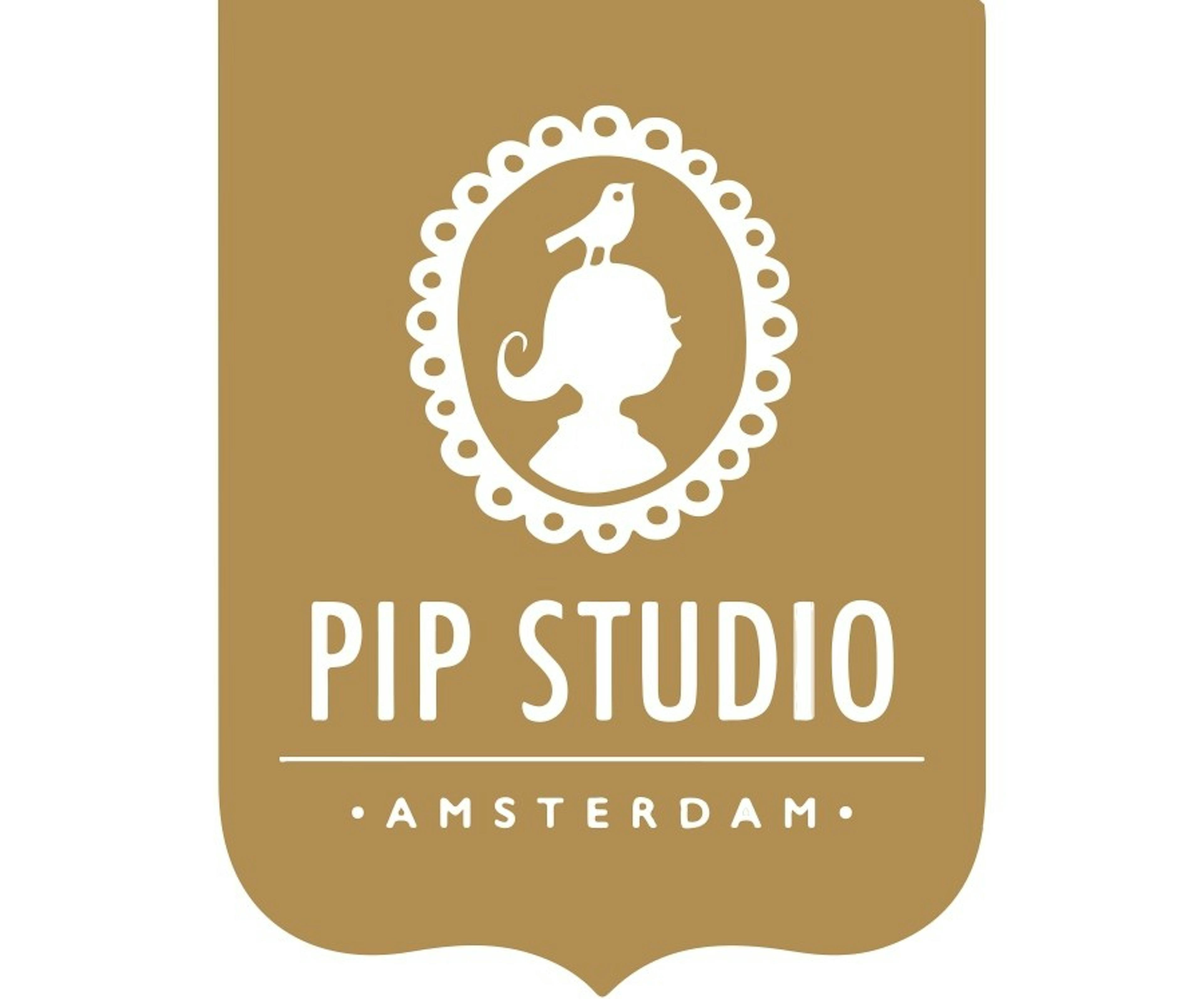 PIP Studio