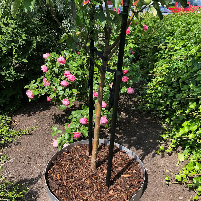 Planteringskant Flexigarden Aluzink 180 mm Cirkel