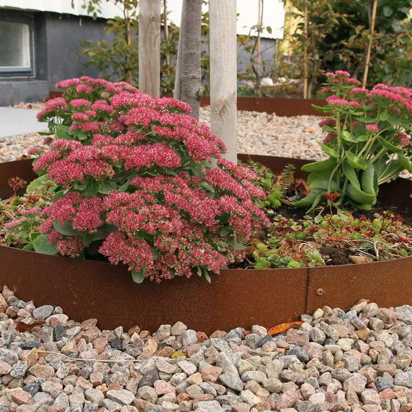 Planteringskant Flexigarden Corten 180 mm Cirkel