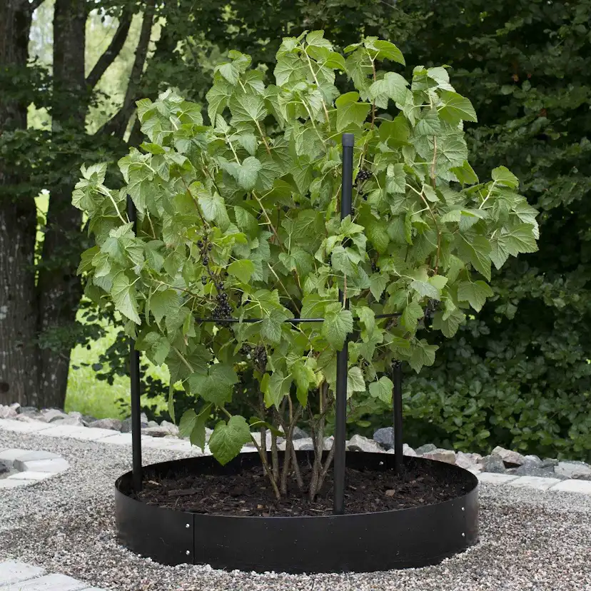 Planteringskant Flexigarden Svart 180 mm Cirkel