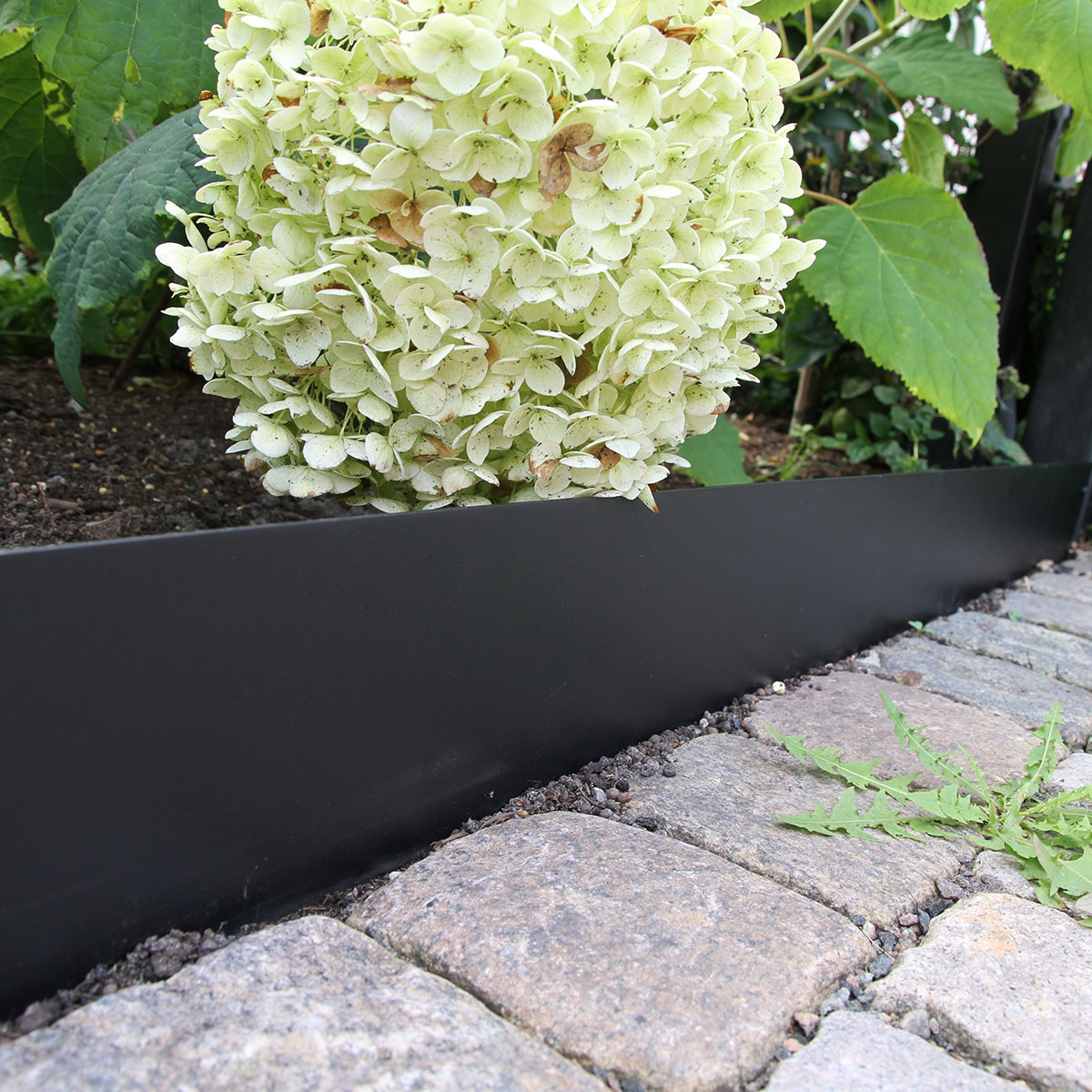 Planteringskant Flexigarden Svart 180 mm Rak