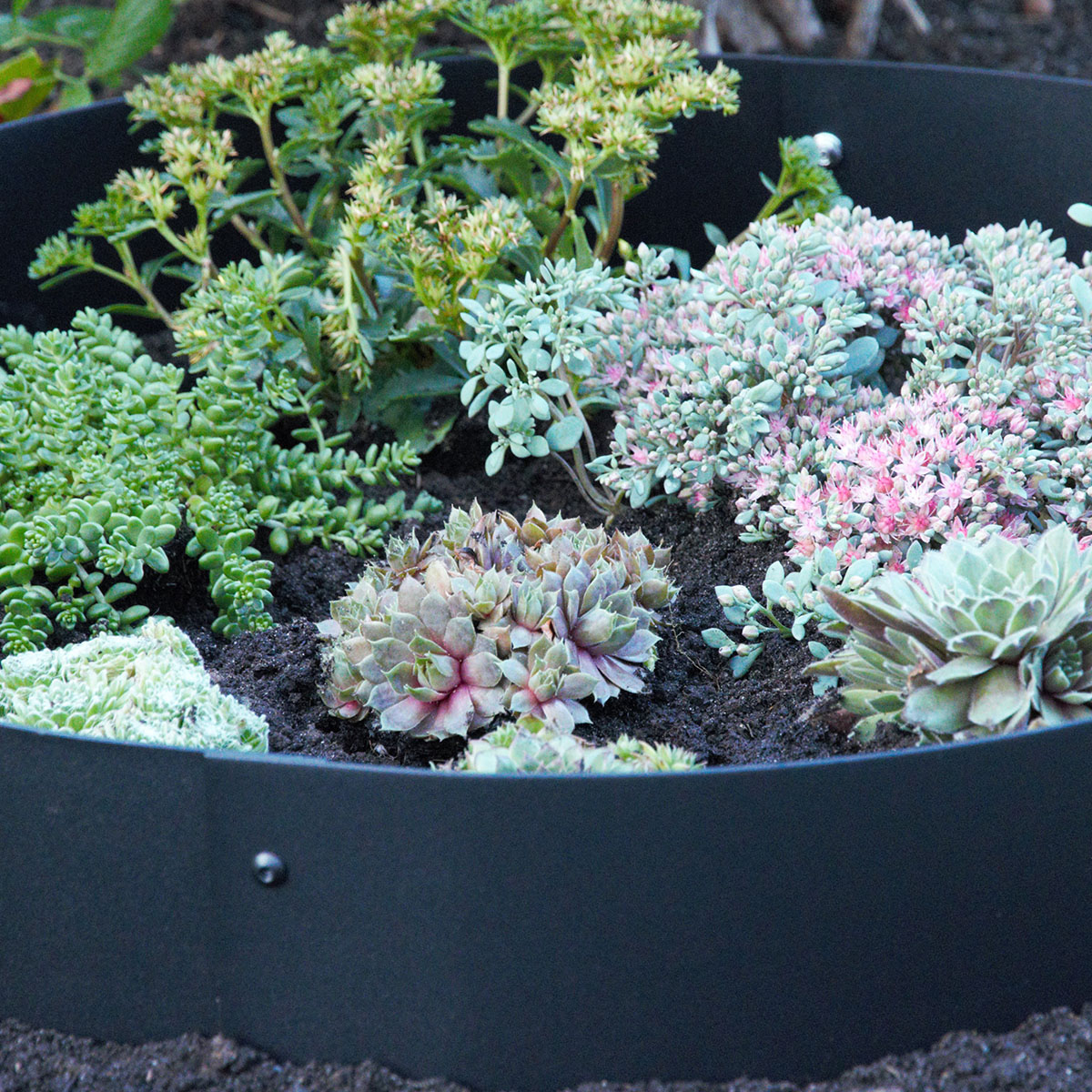Planteringskant Flexigarden Svart Övergång 120-180 mm Kvartsbåge