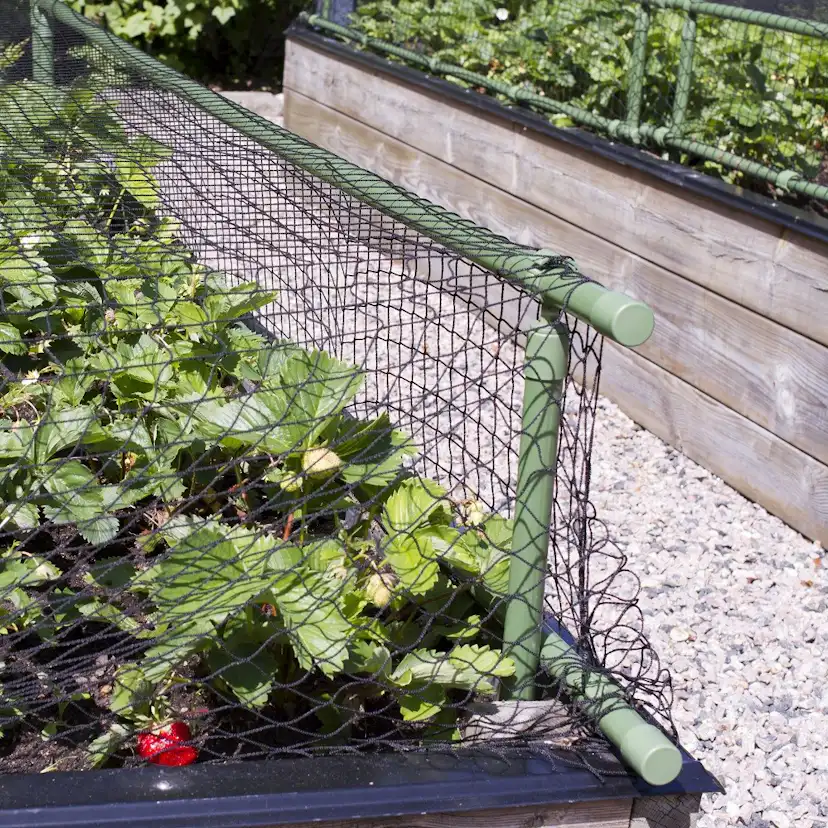 Plast- och näthöjare Flexigarden Grön