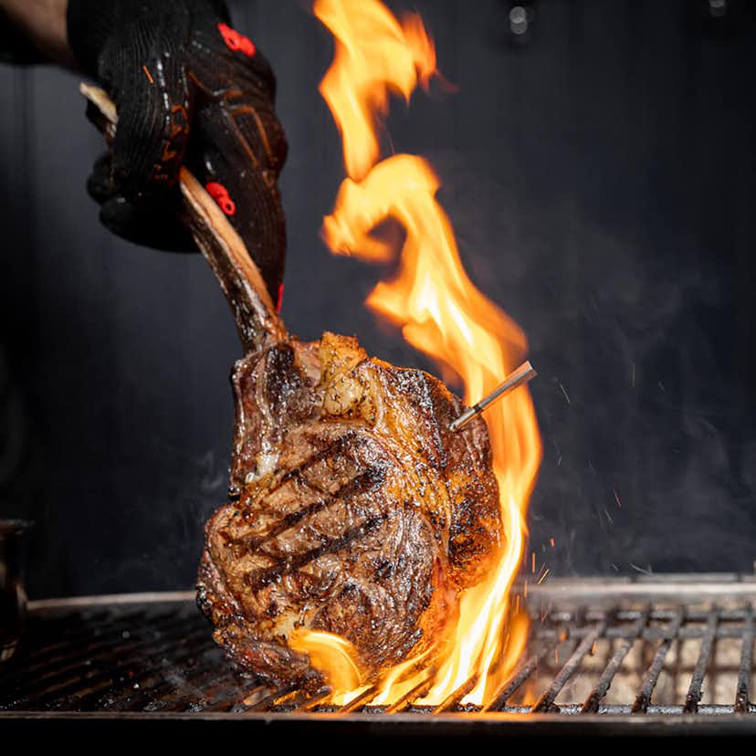 Termometer MEATER Pro XL