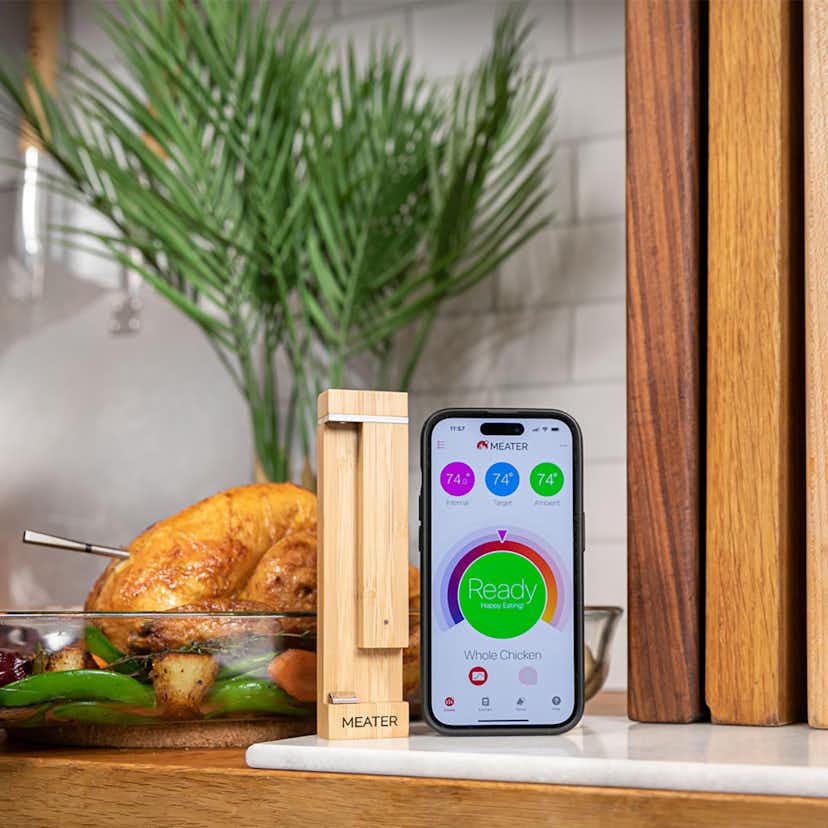 Termometer MEATER Pro
