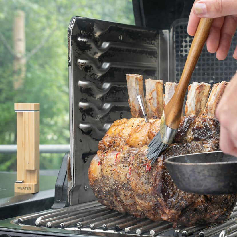 Termometer MEATER Pro