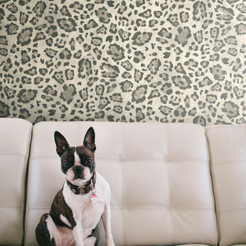 Tapet York Wallcoverings Urban Chic RK4457