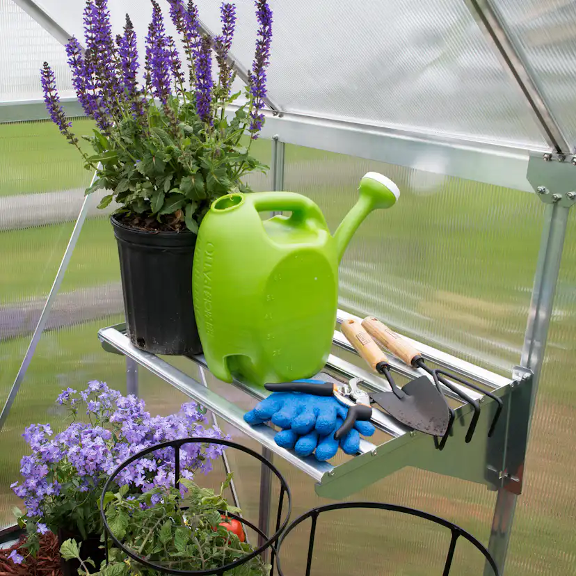 Hylla Canopia by Palram Robust