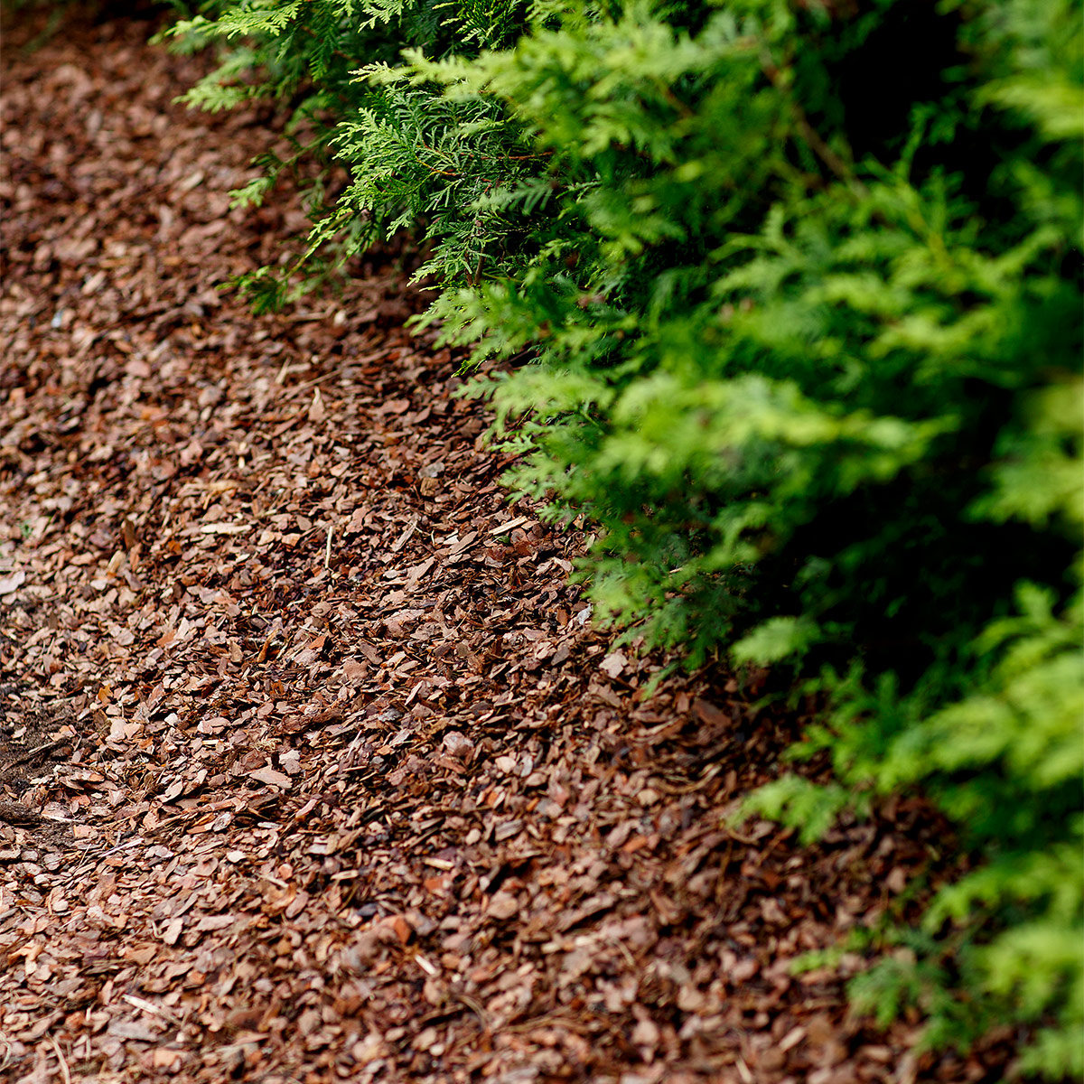 Furubark Hasselfors Garden Premium 40 L