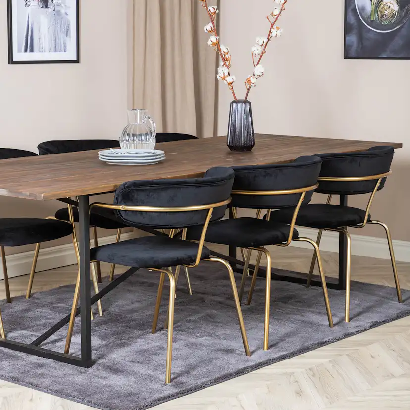 Matgrupp Venture Home Peo med 6 Aris Stolar