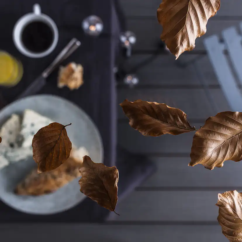 Takskivor Skyroof gop Komplett Pulpettak 10 mm Klar