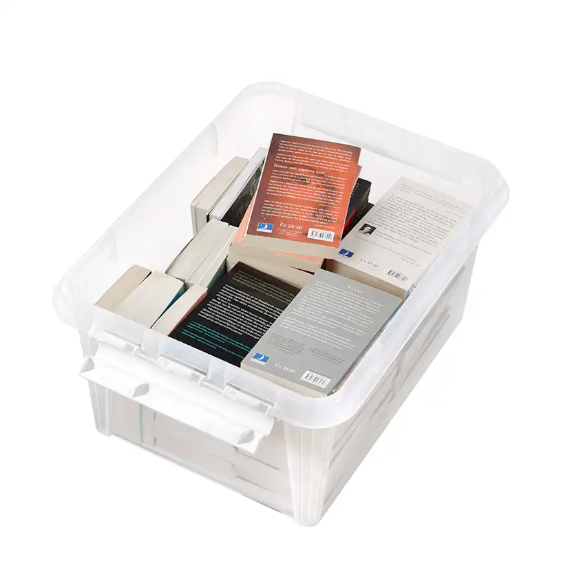 Förvaringsbox SmartStore Classic 31
