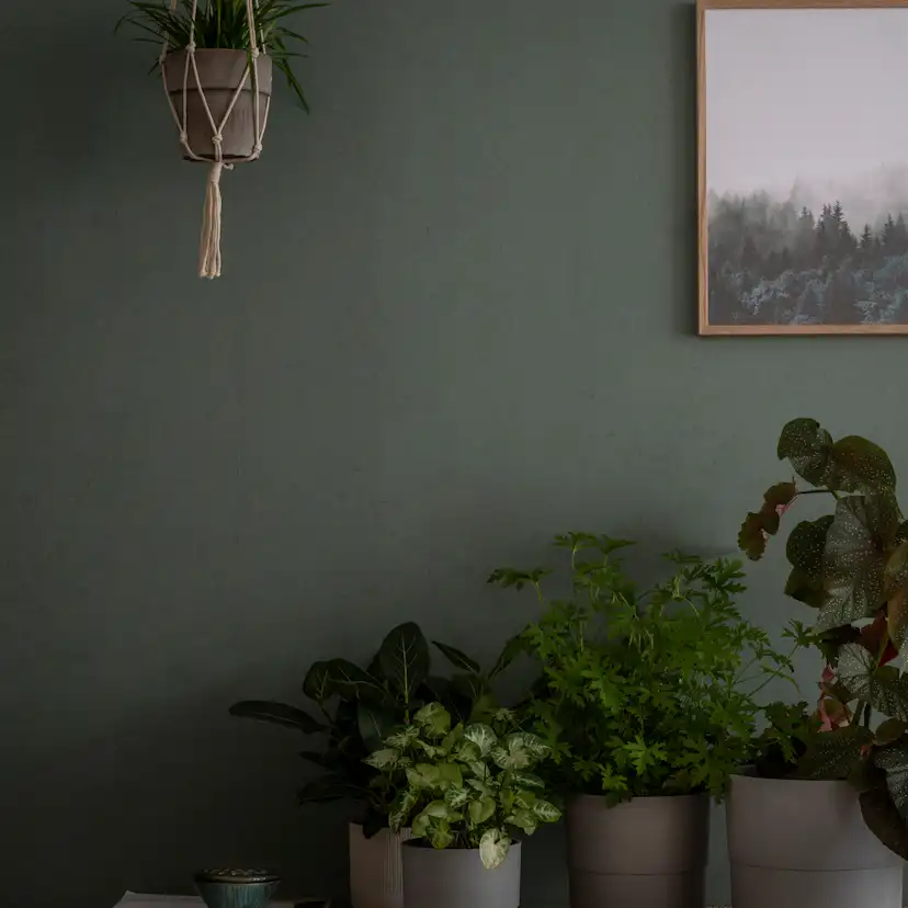 Tapet Duro Sten Grön Marmor 352-17