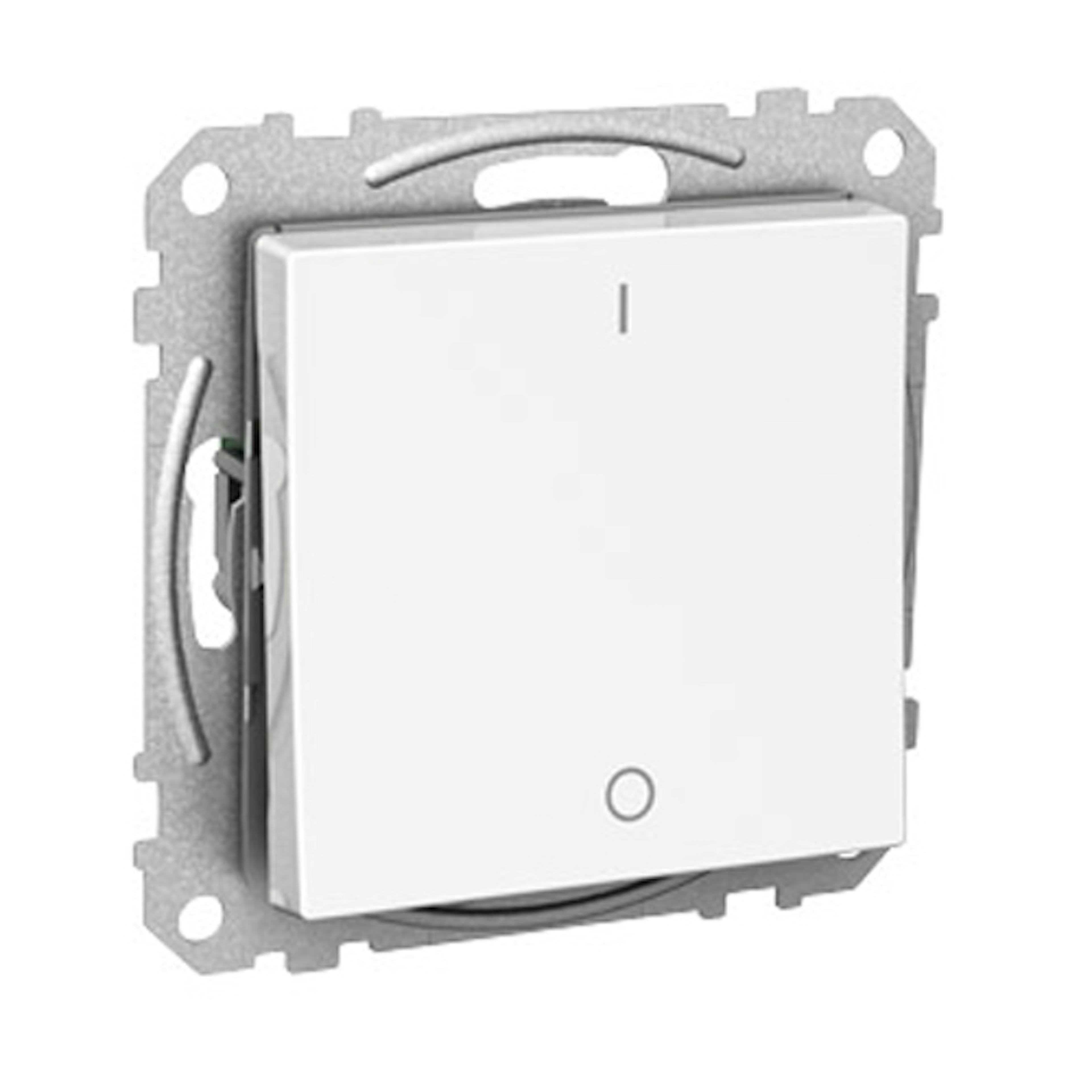 Strömbrytare Schneider Electric Exxact 2-pol Infälld