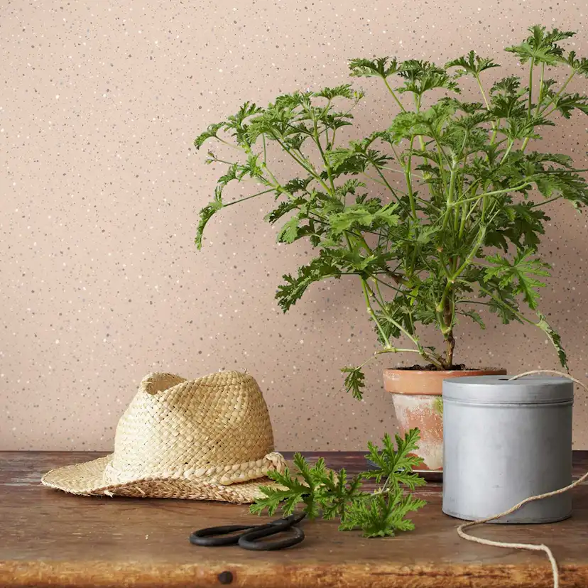 Tapet Boråstapeter Anno 4512 Johan