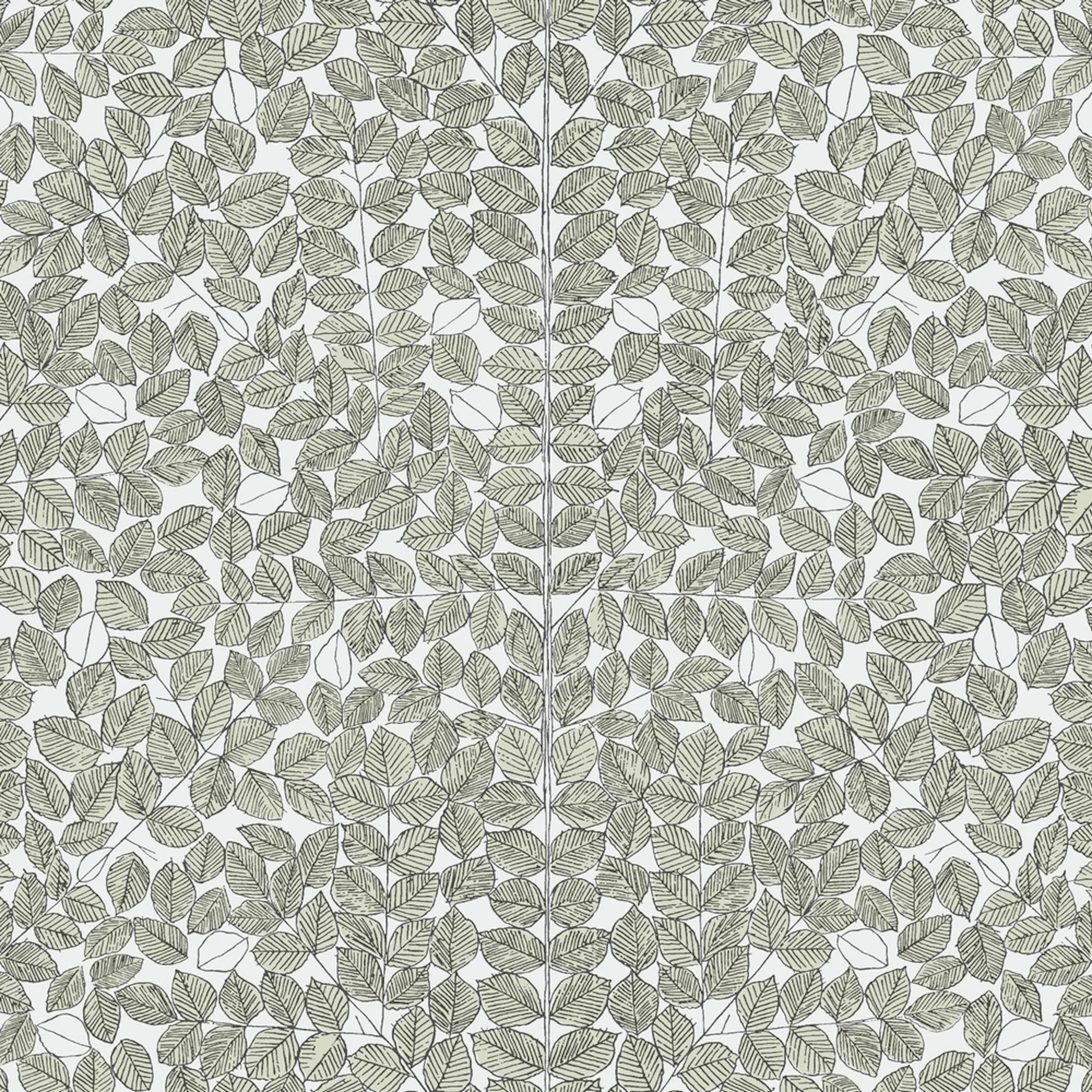 Tapet Boråstapeter Scandinavian Designers II Romans 1769