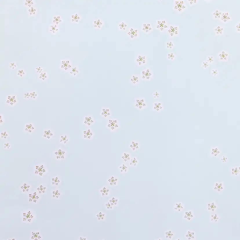 Tapet Mimou Falling Flowers Sky