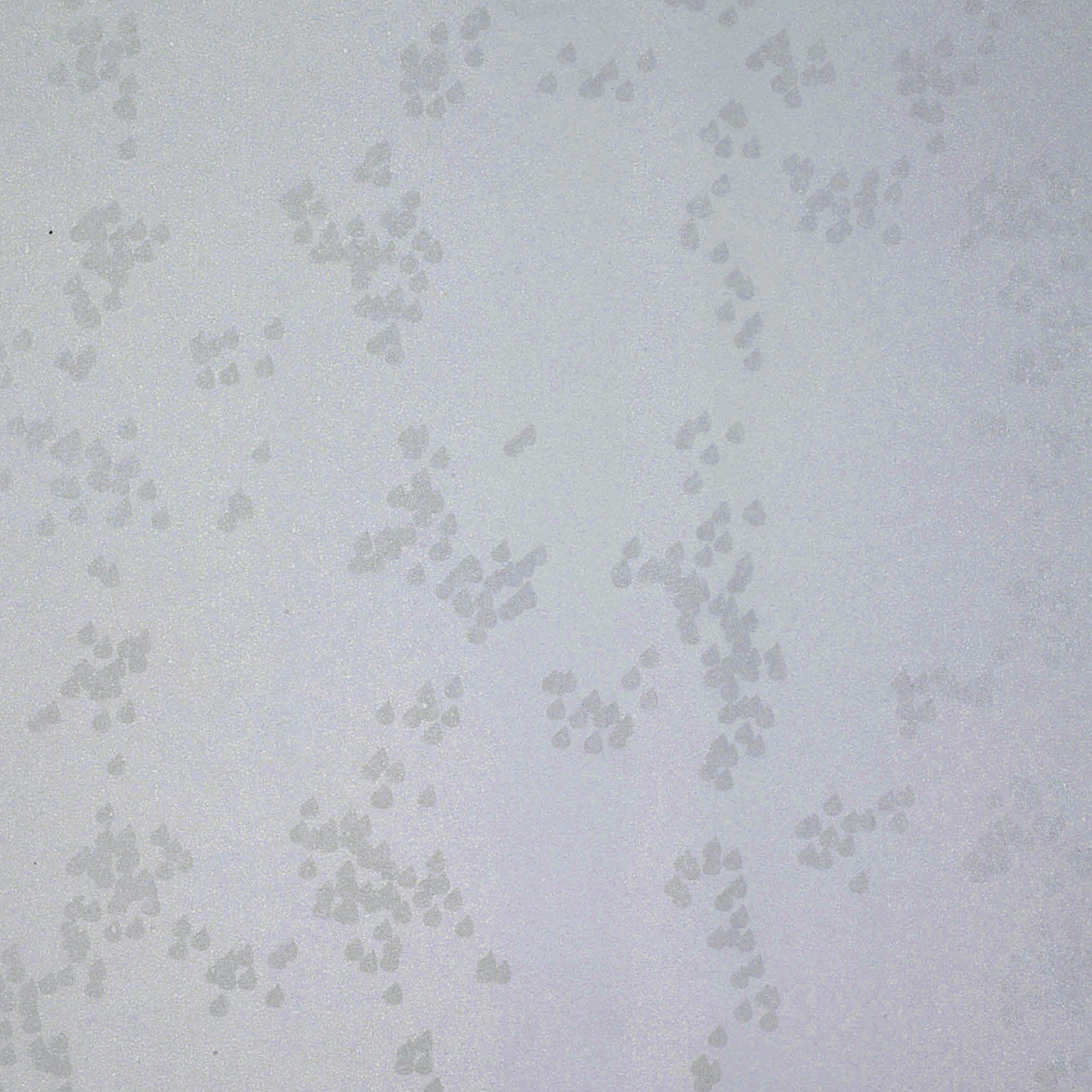 Tapet Mimou Rain Grey