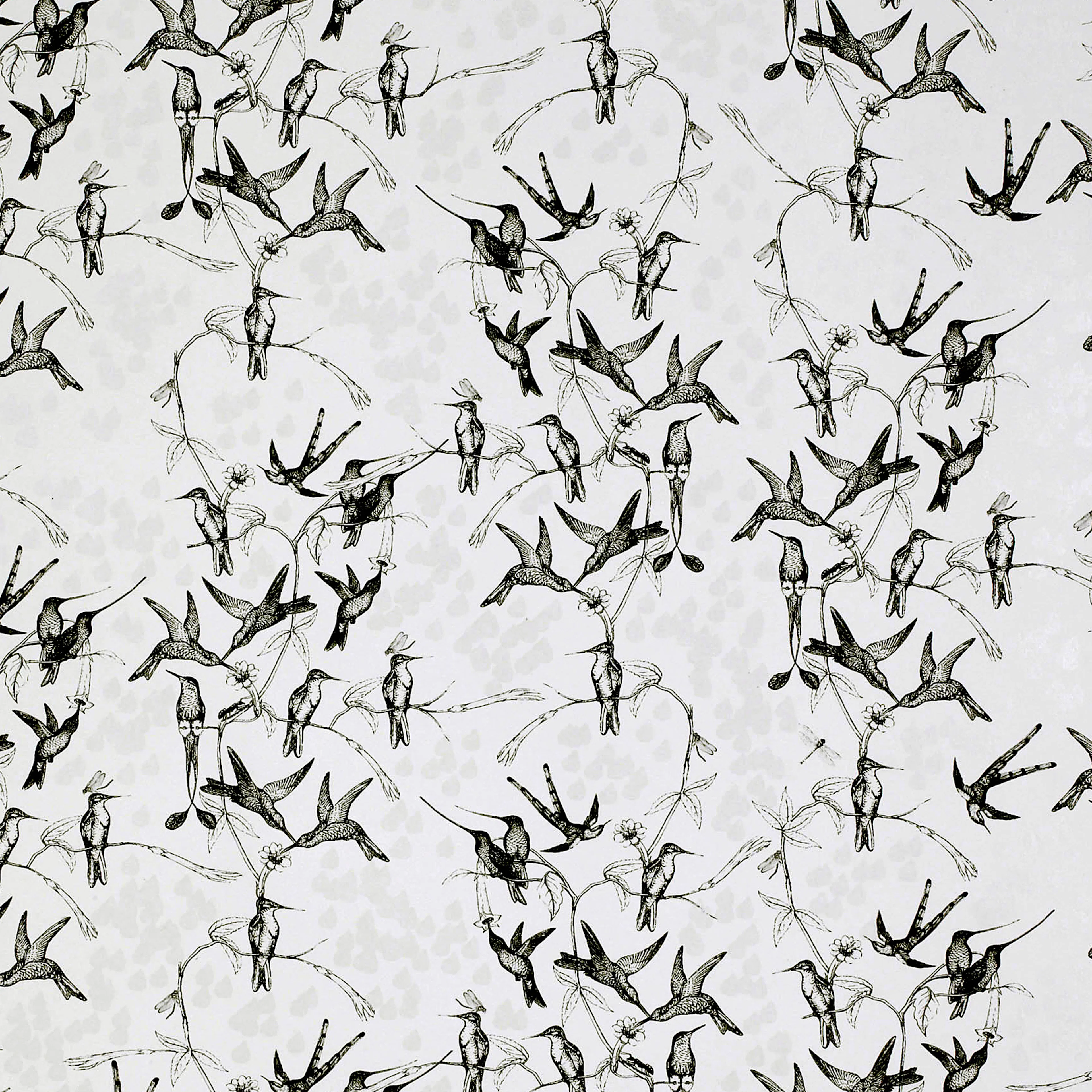 Tapet Mimou Rainbirds Natural/Black