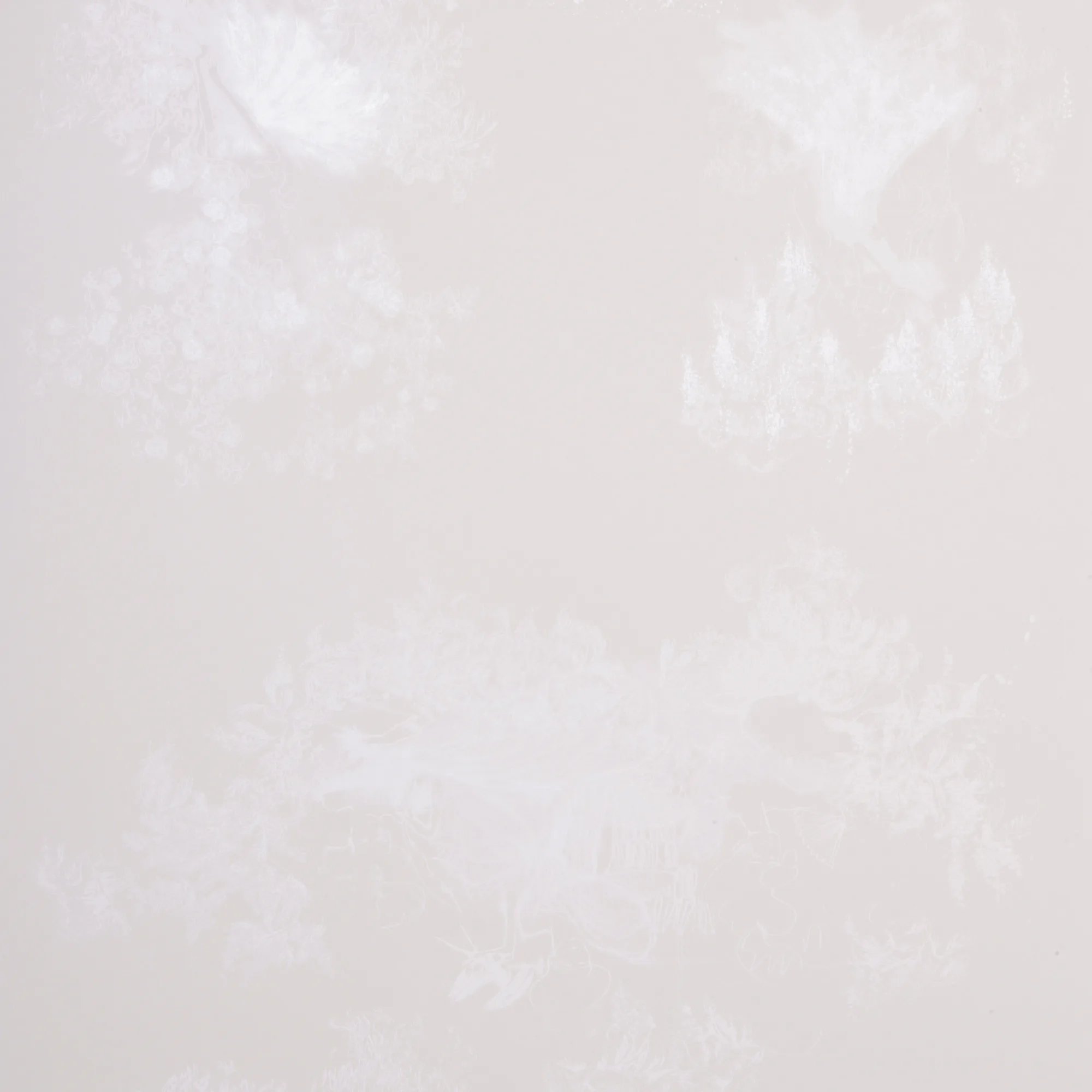 Tapet Mimou Toile Mesdames Natural