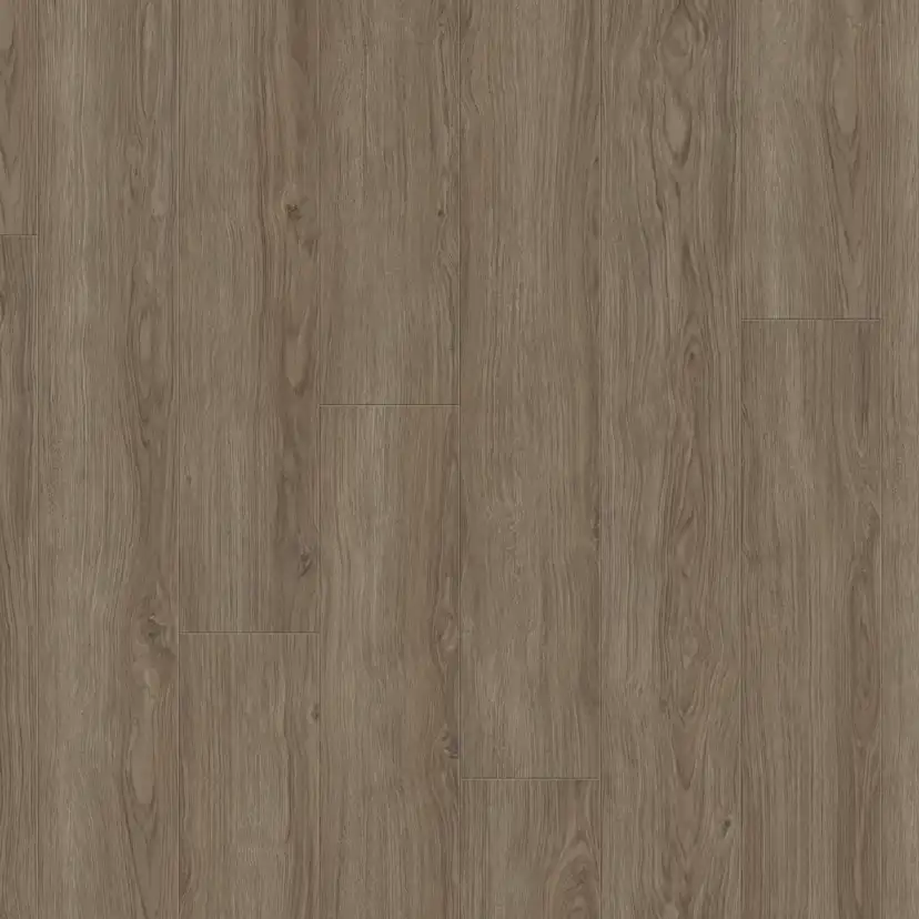 Laminatgolv Tarkett Woodstock 832 Aurora Oak Dawn