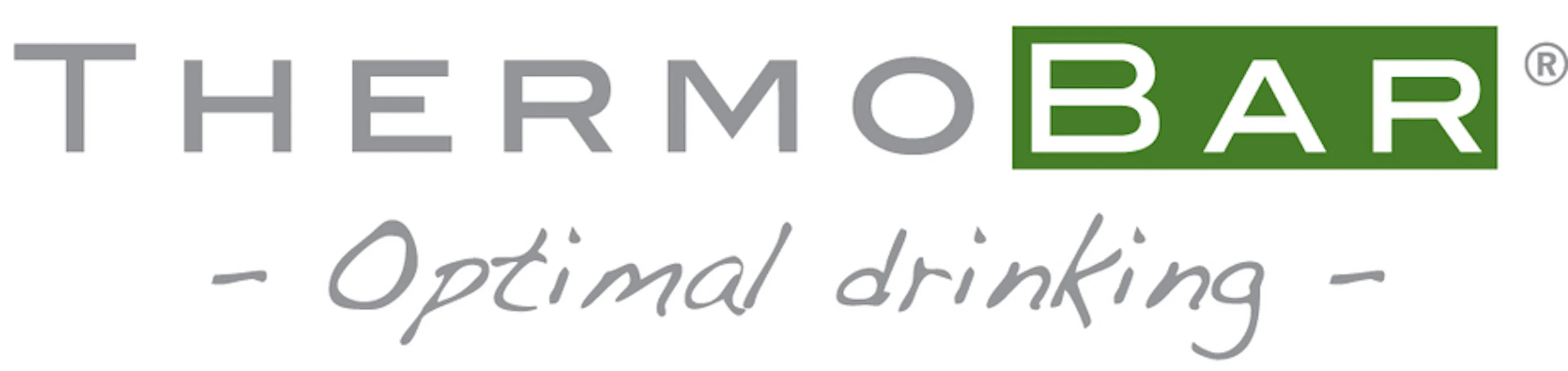 ThermoBar logo