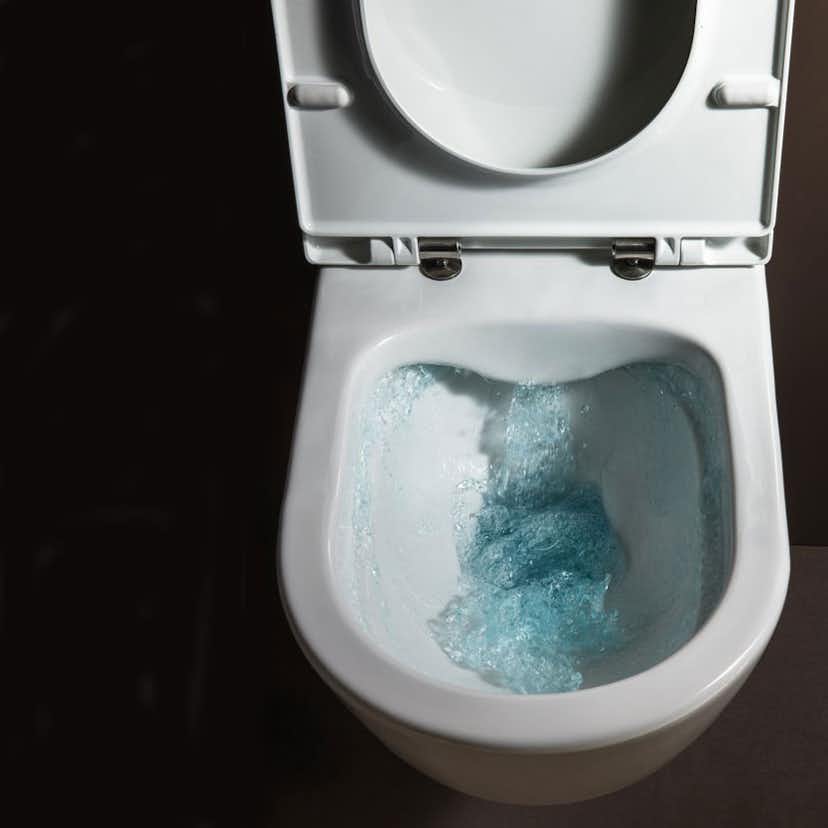 Toalettstol Laufen Kompas 825151 Rimless med Dolt S-lås för Limning inkl Mjuksits