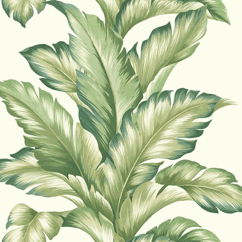 Tapet Wallquest Maui Maui TP81204