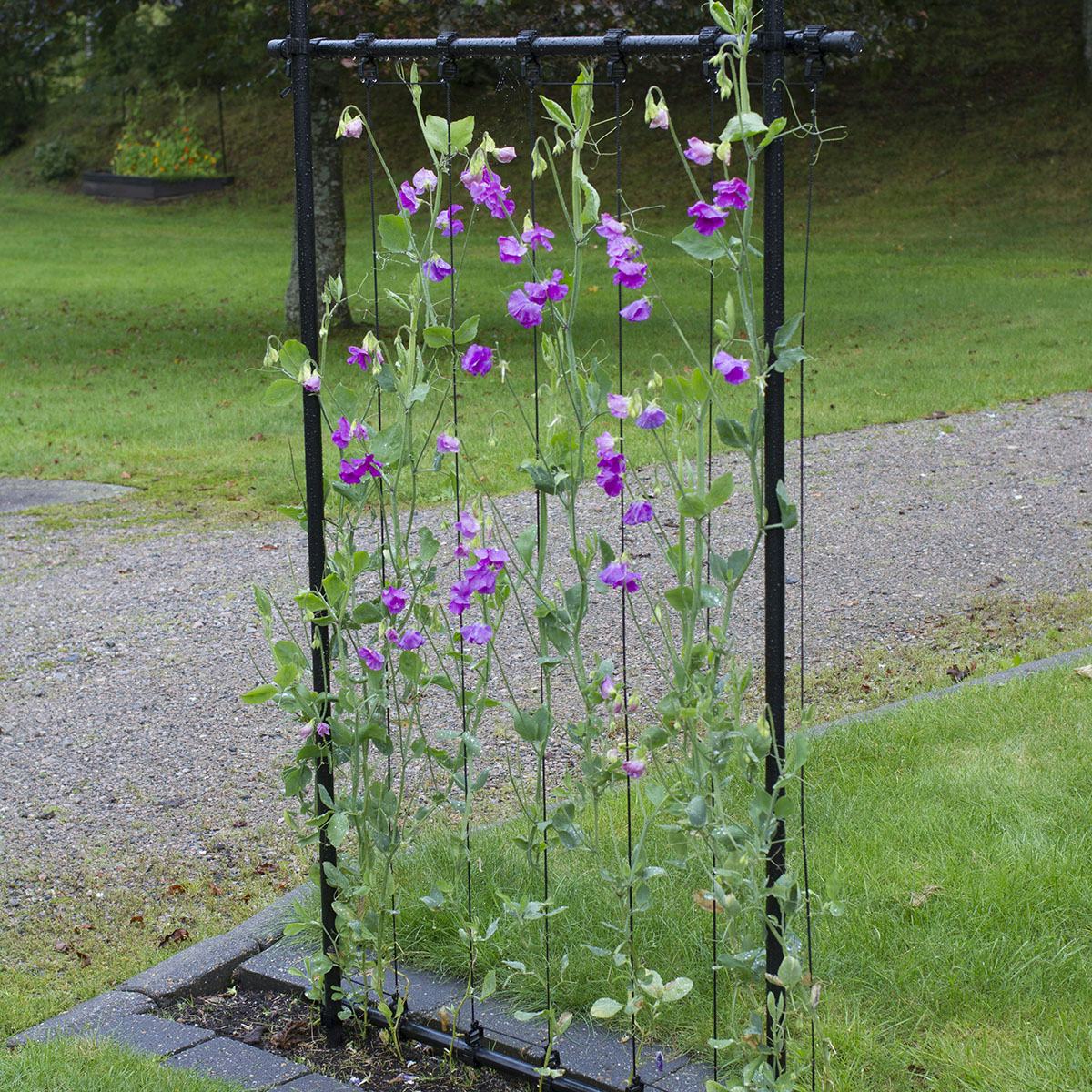 Ramspaljé Flexigarden