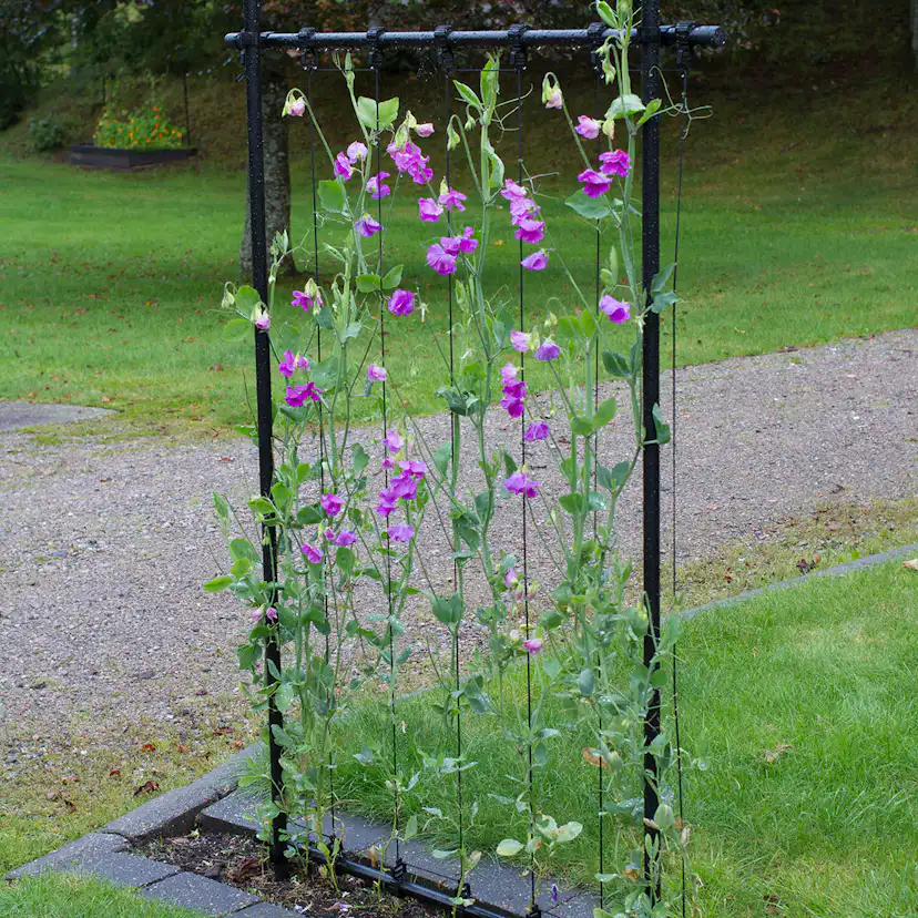 Ramspaljé Flexigarden