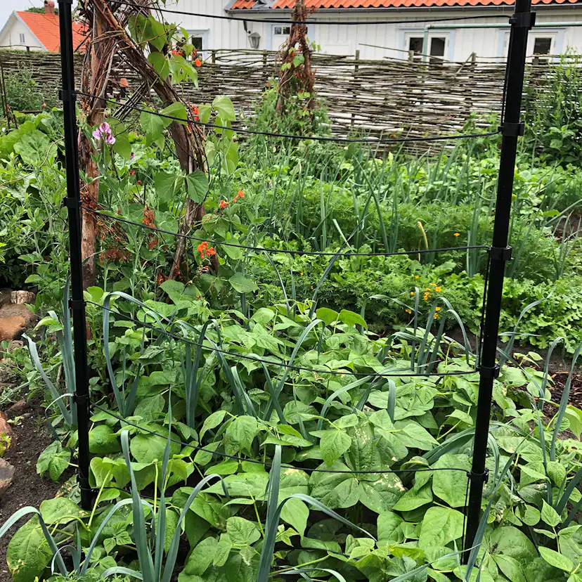 TrådSpaljé Flexigarden