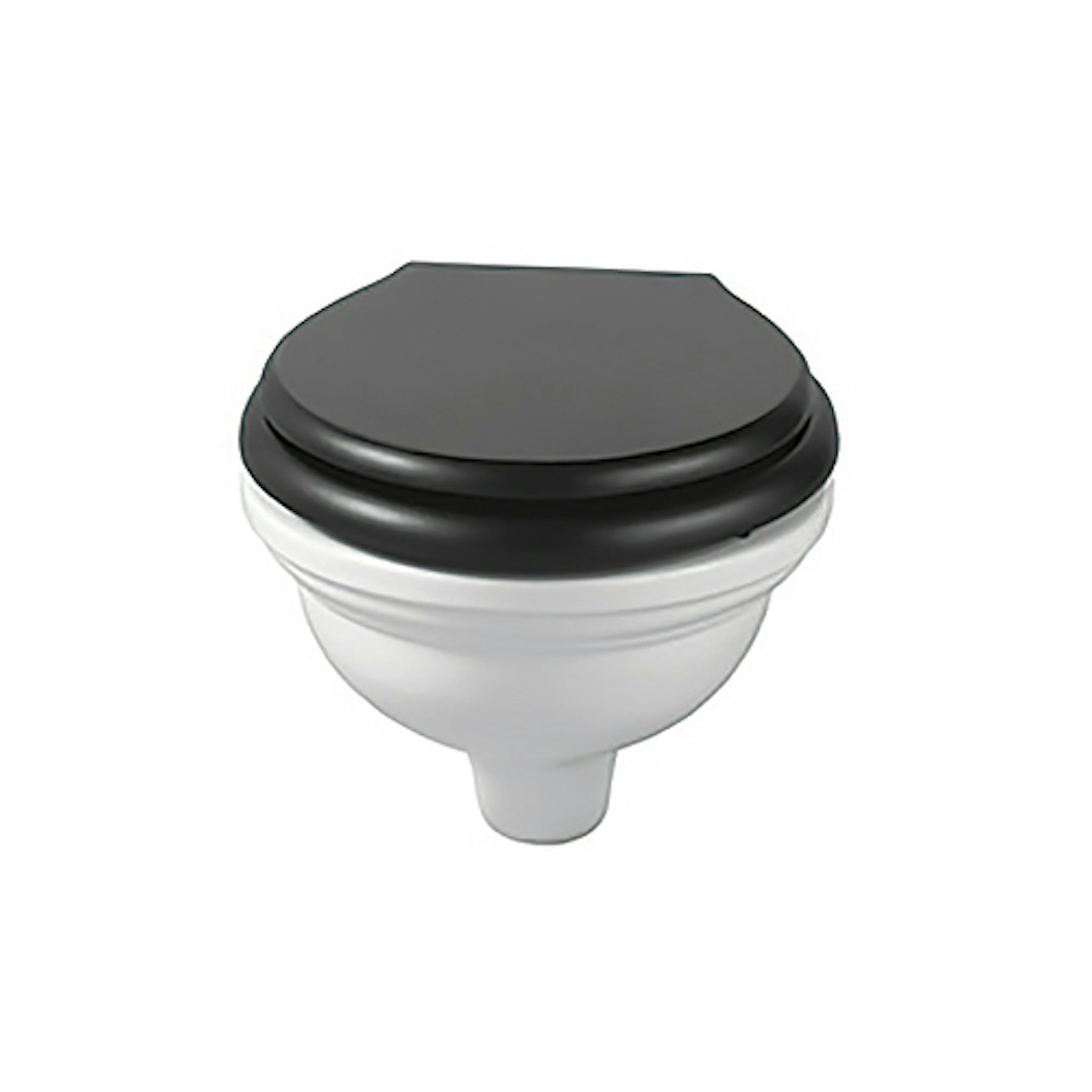 Vägghängd Toalettstol Imperial Radcliffe