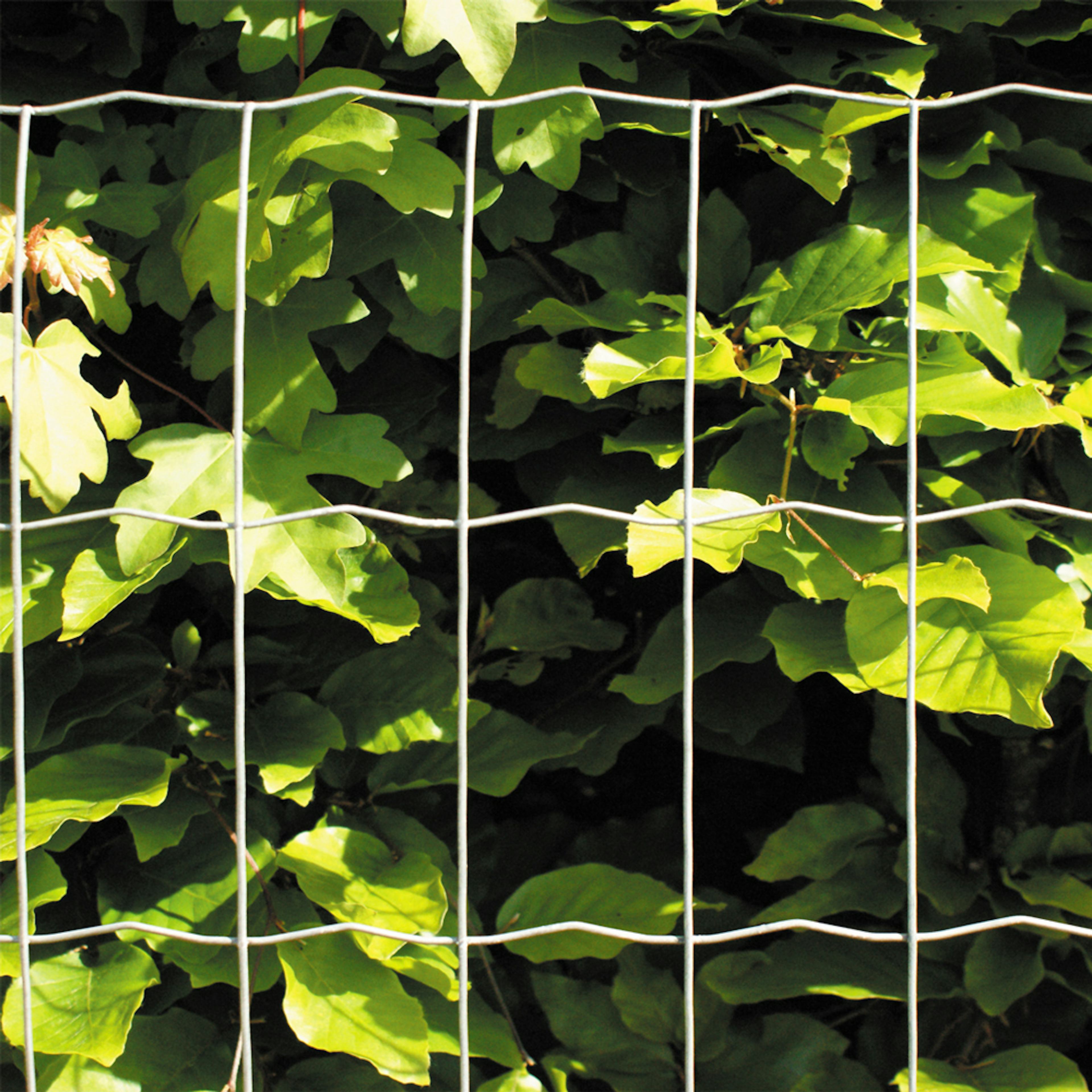 Villastängsel HORTUS Galvaniserat