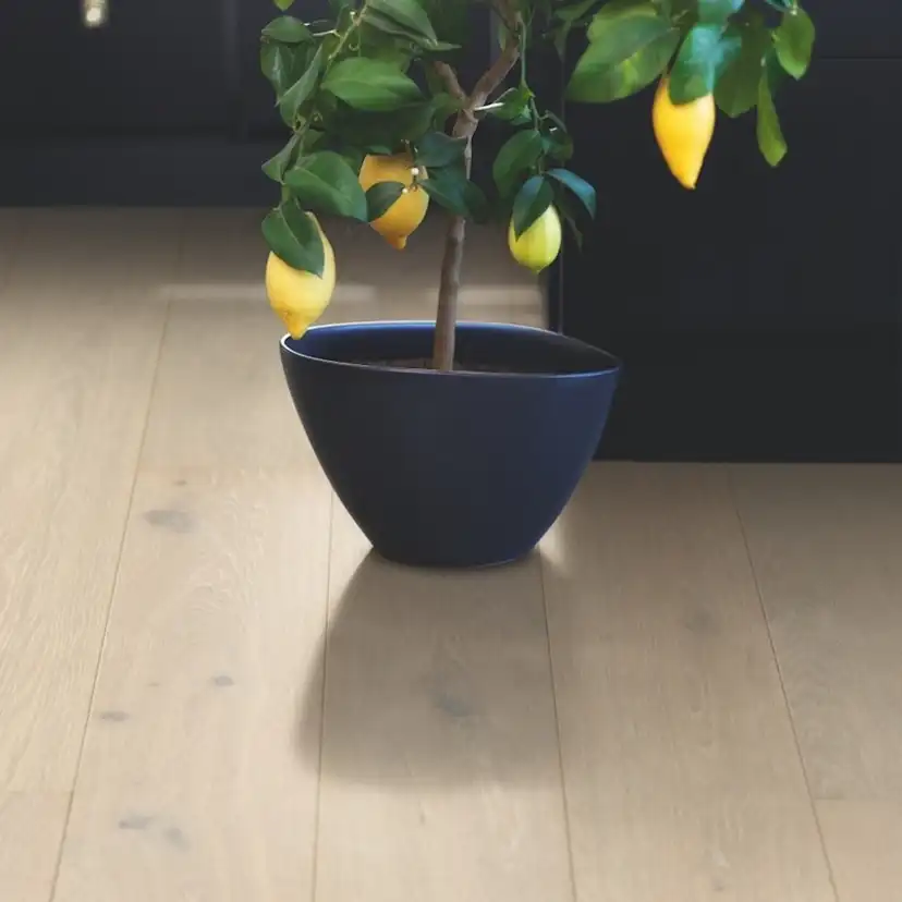 Trägolv Pergo Lofoten Arctic Ek, Mattlackat 1-Stav Parkettgolv