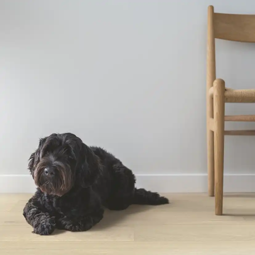 Trägolv Pergo Lofoten Arctic Ek, Mattlackat 1-Stav Parkettgolv